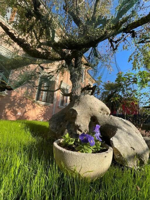 Casa Argia Villa Padova Dış mekan fotoğraf