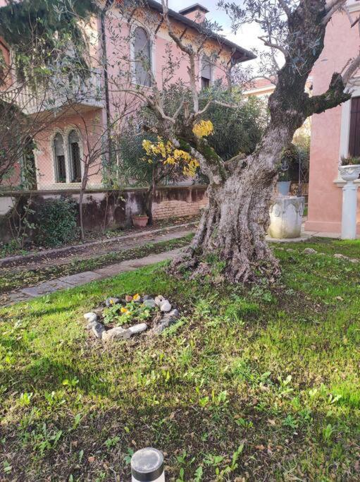 Casa Argia Villa Padova Dış mekan fotoğraf